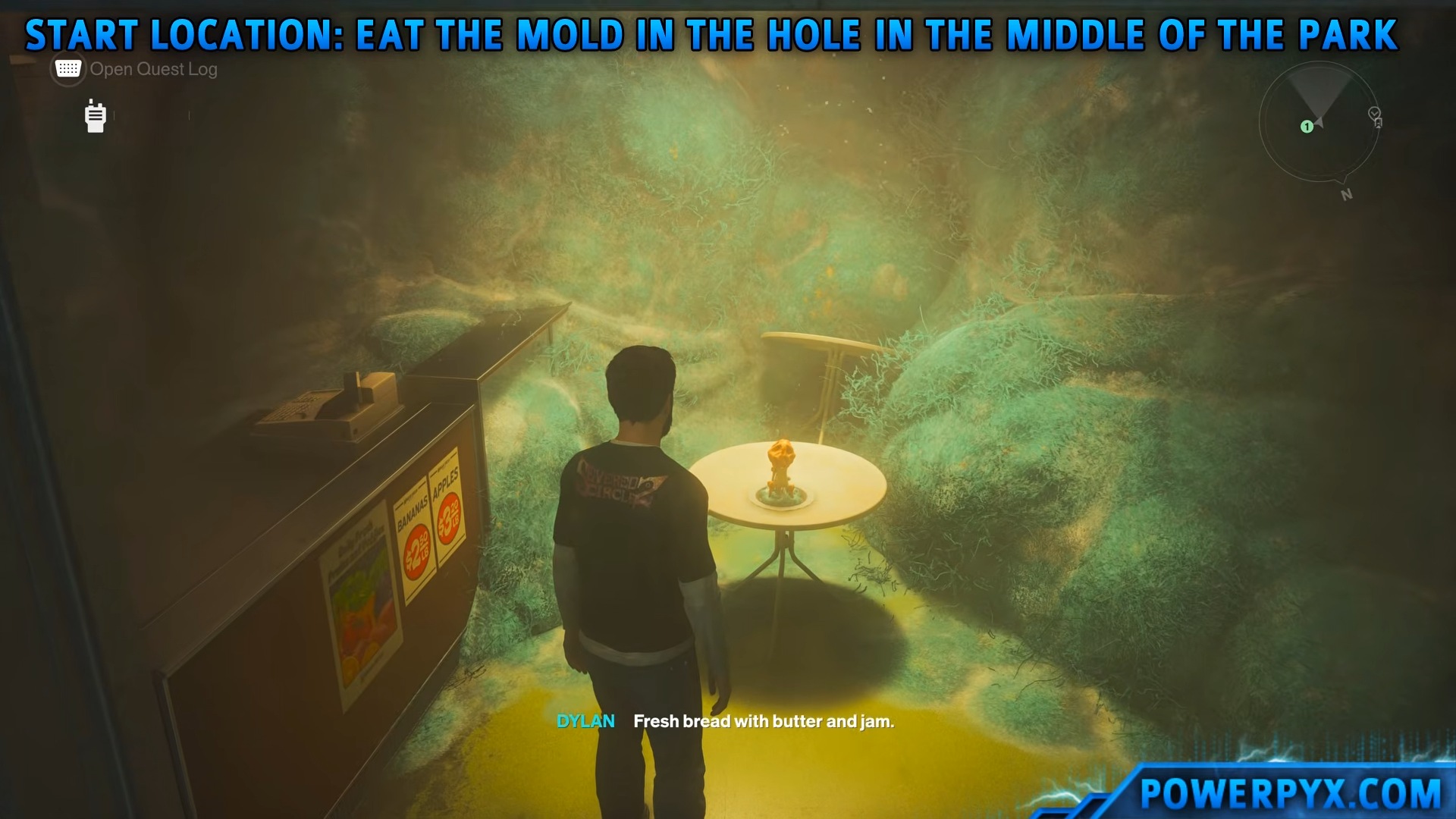 Piece of Delicious Mold on a round table in the cafe